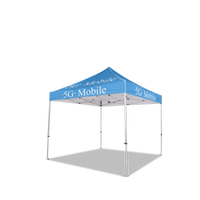 10x15 Custom Canopy Tent
