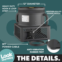 Weather-Resistant Air Dancers® Blower (12" Diameter)