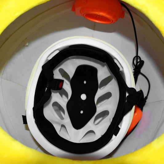 Custom Mascot Costume