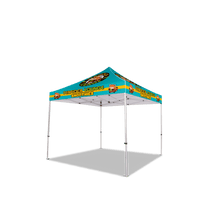 Custom Canopy Tent with Back Wall & Table Cover