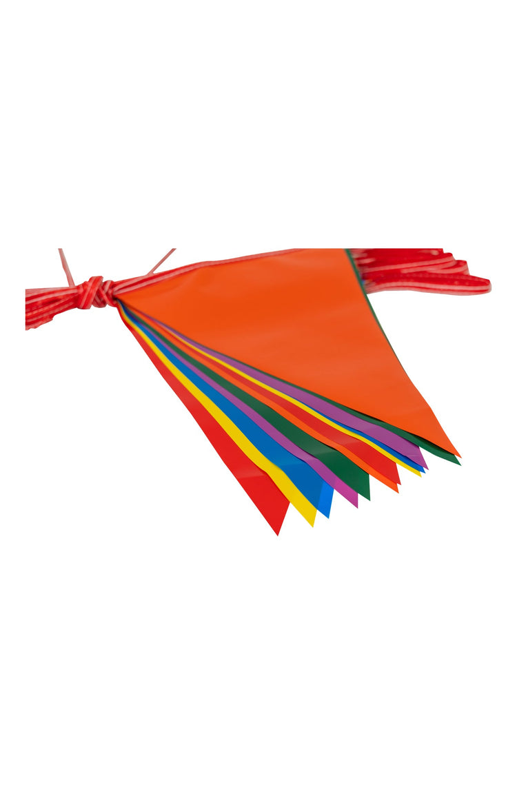 Pennant String Flags - Indoor/Outdoor – LookOurWay